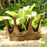 PrincessVeggiez