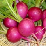 Embrodak