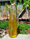 Mattie's Limoncello Mattie's Limoncello