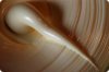 The Problem with Palm Oil The Problem with Palm Oil