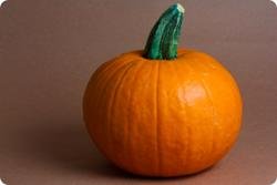 How To Make Pumpkin Puree How To Make Pumpkin Puree