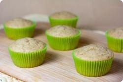 Vanilla Cupcakes - Quick Bread Method
