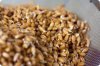 How To Sprout Grains, Legumes Or Nuts How To Sprout Grains, Legumes Or Nuts