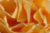 Fabulous Phyllo and Fail-Proof Tips for Baking Success