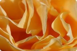Fabulous Phyllo and Fail-Proof Tips for Baking Success