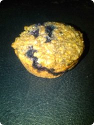 Sugar-Free Blueberry Corn Muffins