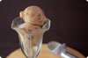 Ginger Snap Cookie Ice Cream