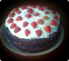 Party Piece Chocolate Cake 